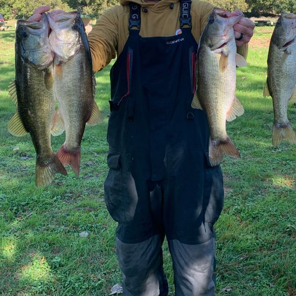 Lake Austin Fishing Charter | Texas Guided Fishing Trip